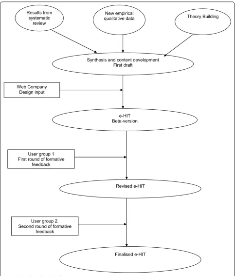 Figure 1 Flow chart of e-Hit development.