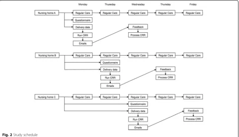 Fig. 1 Schematic study design. *Other possible centres Amsterdam and Nijmegen