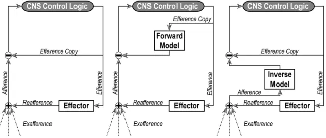 Fig. 1.2: Different processing models for an effector command (efference). Here, an efference is re- re-ceived from the CNS