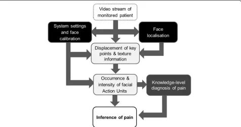 Fig. 1 Technical steps necessary to develop an automatic system that is capable of identifying pain from facial expressions in patients with dementia