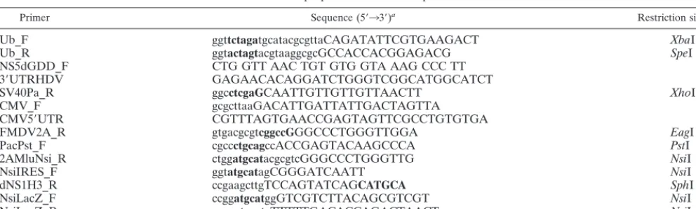 TABLE 1. Primers used in preparation of KUN replicon vectors and constructs