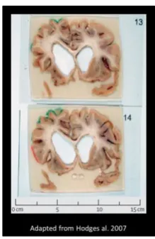 Figure 17 