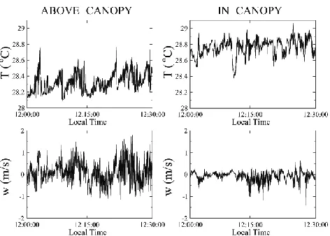 Fig. 1. Time series of temperatureabove the Amazon forest canopy (left panels) and within the Ama-zon canopy (right panels), taken from noon to 12:30 on Julian Day T and vertical wind velocity w068, 1999.