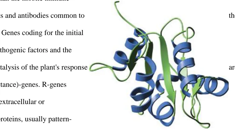 Figure 1: The TIR domain of human TLR2. 