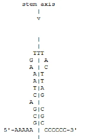 Figure 8: The partition function - showing a partition along which 