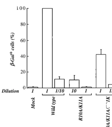 TABLE 1. Summary of results obtained with HIV-1 NC mutants