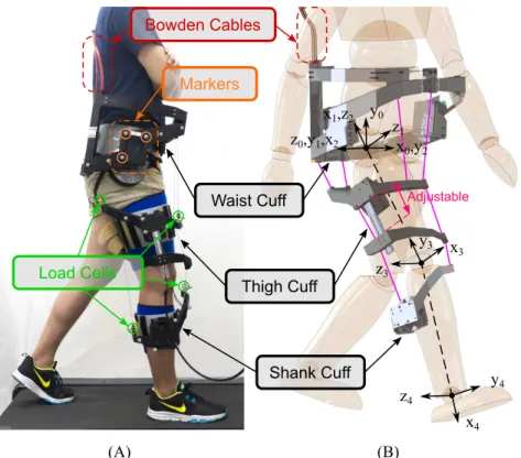 Figure 2.1: Improved Design of C-ALEX. (A) C-ALEX attached to the leg of a subject.