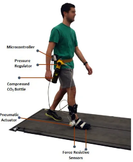 Figure 2 Walking with Portable Powered Ankle Foot Orthosis (PPAFO). 