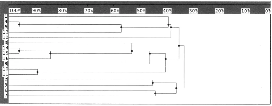 Figure 2. Dendrogram of similarity of prolamin spectrums of triticale using the Bio 1D++ so�ware (Jaccard’s coef-