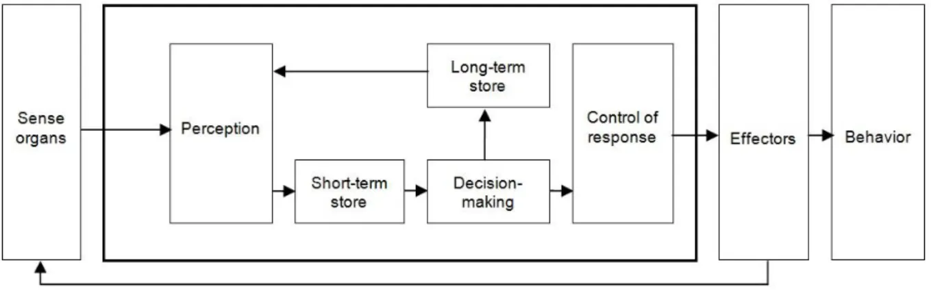 Figure  1-2:  Decision-making  according  to  Welford’s  (1965)  Model  of  the  Human  Sensory-Motor  System 