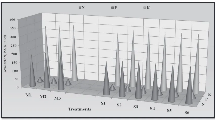Fig. 1: Uptake of NPK (kg ha-1) by Bt cotton as influenced by nutrient management practices