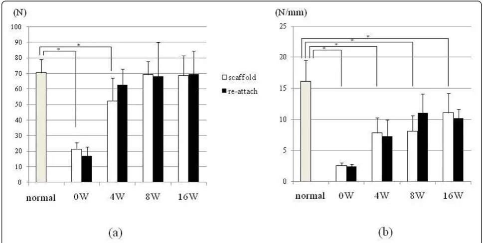 Figure 5 Result of mechanical evaluation. (a) Ultimate failure load of tendon humeral head complex