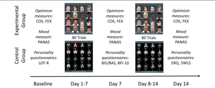 FIGURE 1 | Schematic sequence of the experimental procedure. At baseline, all participants completed the Comparative Optimism Scale (COS; Weinstein, 1980) and Future Expectancy Scale (FEX; Peters et al., 2015) as optimism bias measures (primary outcome), t