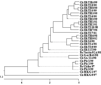 Fig. 1. Phylogenetic relationship amongst the HA genes of  H9N2 AI viruses in Iranian isolates, and the other isolates in Genbank having high nucleotide sequence homology
