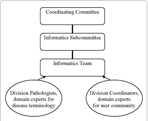 Figure 1 Leadership structure.