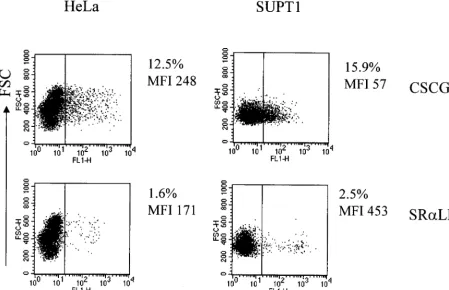 TABLE 1. Summary of EGFP expression of variousvectors in different cell lines