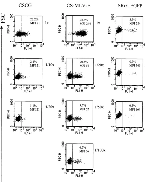 FIG. 4. EGFP expression of CS-MLV-E in SUPT1 cells is higher than that of CSCG at low MOIs