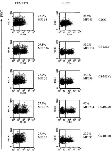 FIG. 5. Partial gagand SUPT1 cells were infected by virus supernatant of CSCG (virus titer, 0.3 sequence of MoMLV in CS-MLV-E and CS-Rh-MLV-E vectors is involved in enhanced EGFP expression in CEMX174 and SUPT1