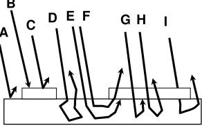Figure 2.17: Paths followed by a photon in a printed turbid medium in the presence of