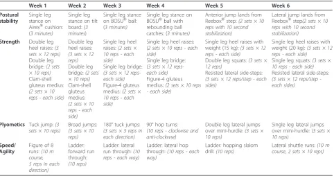Table 1 6-week rehabilitation programme