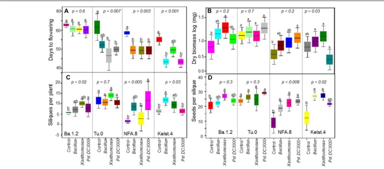 FIGURE 2 | Impact of individual bacterial species on the plant performance. Effect of bacterial monoculture treatments on (A) days to flowering (DF), (B) dry biomass per plant, (C) siliques per plant (SPP), and (D) seeds per silique (SPS) production in all