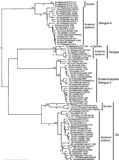 FIG. 1. Phylogenetic tree derived from E protein gene nucleotide sequences of sylvatic and representative endemic/epidemic DEN strains using maximumparsimony (PAUP, version 3.0) and drawn using branch lengths derived by neighbor joining using the Kimura tw