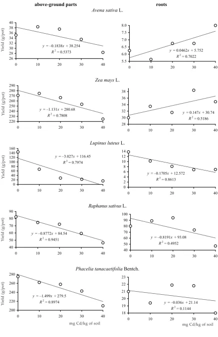 Figure 1. Relationship between the content of cadmium in soil and yield of plants