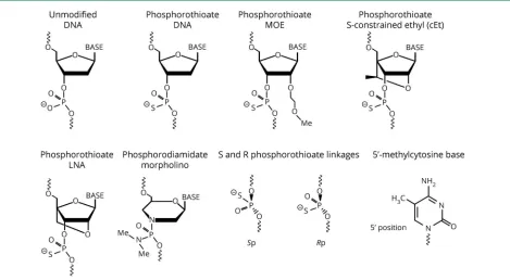Figure 2 Structural elements commonly used in ASOs