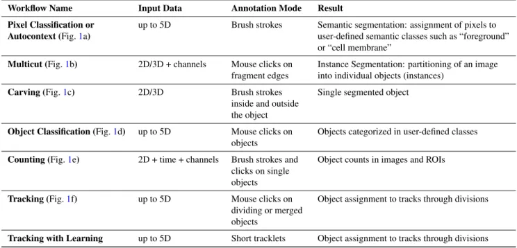 Table 1. Summary of the annotation modes in ilastik workflows