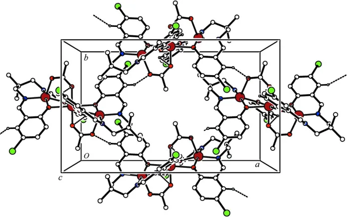 Figure 2Packing diagram of the title complex, viewed down the c axis. The intramolecular and intermolecular C—H···O hydrogen 