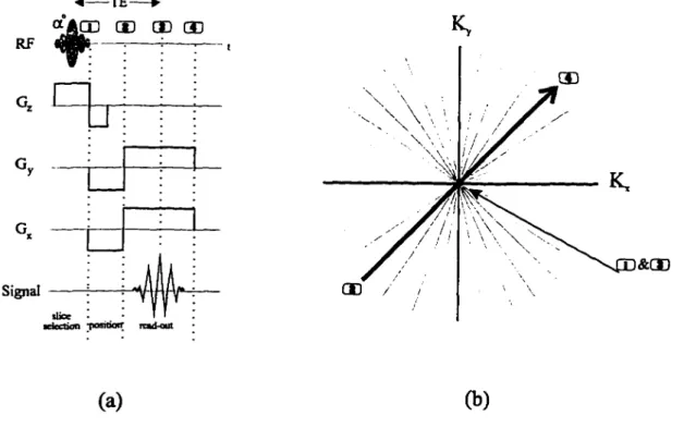 Figure 2.9 Gradient-echo pulse sequence for radial-scan, (a) The gradient-echo pulse  sequence for a typical radial-scan in k-space