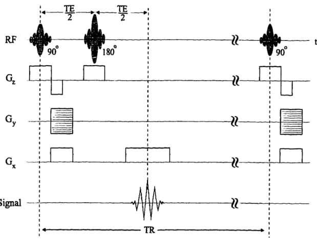 Figure 3.1 Spin-echo pulse sequence for raster-scan. 