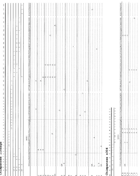 FIG. 1. Clonotype distributions and alignment of predicted amino acid sequences from chimpanzees in the passage experiment (A) and for animal x304 (B)