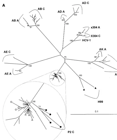 FIG. 3. Neighbor-joining phylogenetic trees constructed from 372-nt envelope gene sequences of chimpanzees and human subjects infected with HCV subtype 1a(A) and 1b (B)