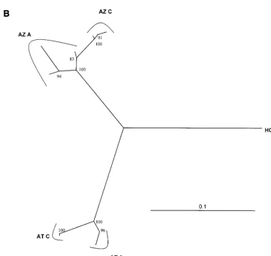 FIG. 3—Continued.