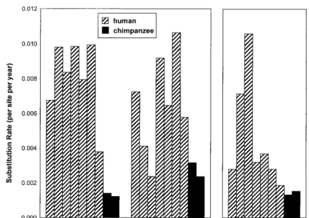 FIG. 4. Nonsynonymous rate, synonymous rate, and nonsynonymous/synonymous (Nonsyn/Syn) rate ratio for seven humans and two chimpanzees with chronicHCV viremia
