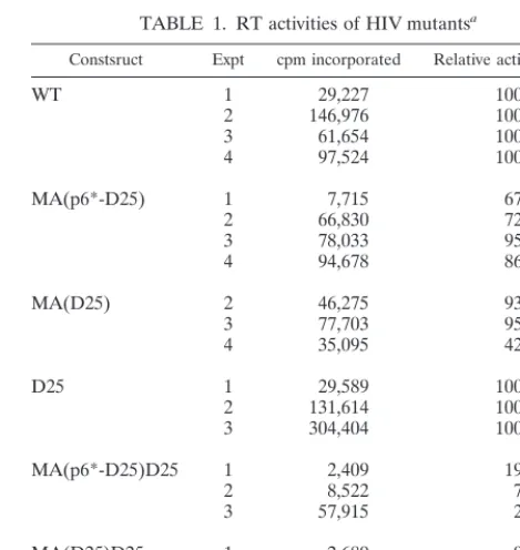 TABLE 1. RT activities of HIV mutantsa