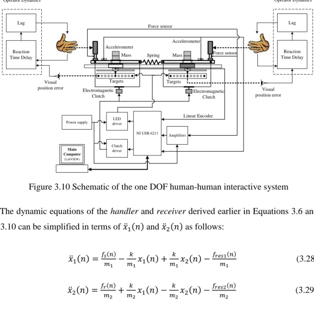 Figure 3.10 Schematic of the one DOF human-human interactive system 