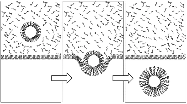 Figure 1 - 3. A method for the creation of liposomes based on emulsion droplets. 