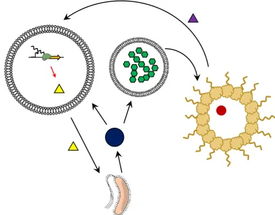 Figure 3 - 11. Schematic representation of a community of artificial and natural cells