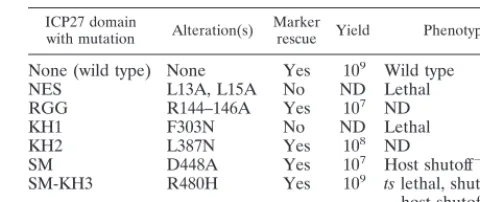 TABLE 1. Rescue of an HSV ICP27 null by plasmid DNAcontaining point mutations in the gene encoding ICP27a