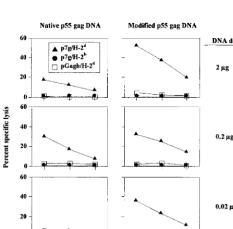 FIG. 6. CTL responses in CB6F1 mice after a single immunization withtitrated plasmid DNA
