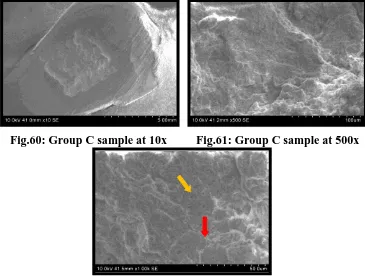 Fig.60: Group C sample at 10x 