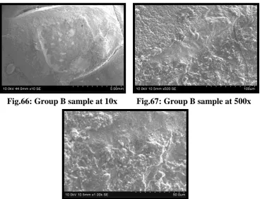 Fig.66: Group B sample at 10x 