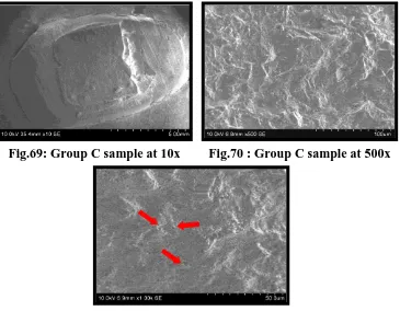 Fig.69: Group C sample at 10x 