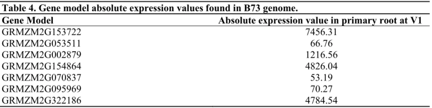Table 4. Gene model absolute expression values found in B73 genome. 