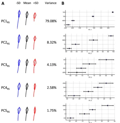 Figure 2. Variability of the root system shape and size of Arabidopsis Col-0 quantified with  Root-Scape, as described by the five main PCs from the allometric Col-0 model