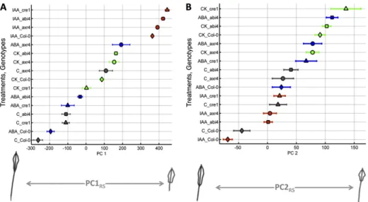 Figure 3. Range of PC values obtained for Col-0 (diamonds) and three  mu-tants, abi4-1 (squares), axr4-1 (circles), and cre1-2 (triangles), on the four  dif-ferent media (control [C], gray; IAA, red; CK, green; and ABA, blue) for the allometric Col-0 model