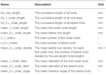 FIGURE 1 | (A) Image of a 2-week old maize root system grown in rhizotron.