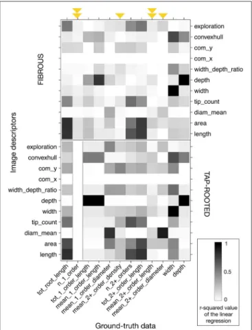 FIGURE 4 | Heatmap of the r-squared values between the different image descriptors and the ground-truth values, for the images without any noise